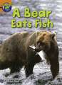 Fact World Stage 4: A Bear Eats Fish