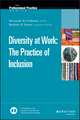 Diversity at Work – The Practice of Inclusion