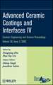 Advanced Ceramic Coatings and Interfaces IV V30 Issue 3