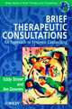 Brief Therapeutic Consultations – An Approach to Systemic Counselling