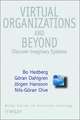 Virtual Organizations & Beyond – Discover Imaginary Systems