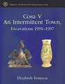 Cosa V: An Intermittent Town, Excavations 1991-1997