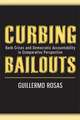 Curbing Bailouts: Bank Crises and Democratic Accountability in Comparative Perspective