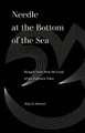 Needle at the Bottom of the Sea – Bengali Tales from the Land of the Eighteen Tides