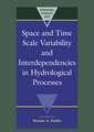 Space and Time Scale Variability and Interdependencies in Hydrological Processes