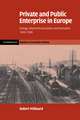 Private and Public Enterprise in Europe: Energy, Telecommunications and Transport, 1830–1990