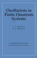 Oscillations in Finite Quantum Systems