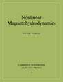 Nonlinear Magnetohydrodynamics