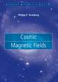 Cosmic Magnetic Fields