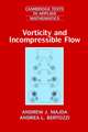 Vorticity and Incompressible Flow