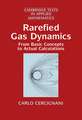 Rarefied Gas Dynamics: From Basic Concepts to Actual Calculations