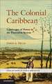 The Colonial Caribbean: Landscapes of Power in Jamaica's Plantation System