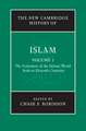 The New Cambridge History of Islam