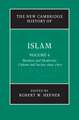 The New Cambridge History of Islam