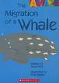 The Migration of a Whale