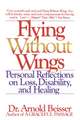 Flying Without Wings