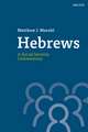 Hebrews: A Social Identity Commentary