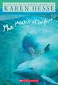 The Music of Dolphins