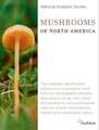 National Audubon Society Mushrooms of North America