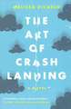 The Art of Crash Landing