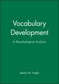 Vocabulary Development – A Morphological Analysis