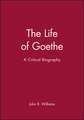 The Life of Goethe: A Critical Biography