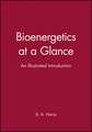 Bioenergetics at a Glance – An Illustrated Introduction