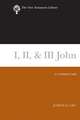 I, II, & III John (2008): A Commentary