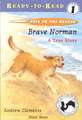 Brave Norman: A True Story