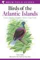 A Field Guide to the Birds of the Atlantic Islands: Canary Islands, Madeira, Azores, Cape Verde