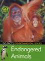 Endangered Animals: Environmental Issues