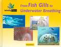 From Fish Gills to Underwater Breathing