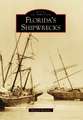 Florida's Shipwrecks