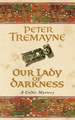 Our Lady of Darkness (Sister Fidelma Mysteries Book 10)