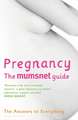 Pregnancy: The Mumsnet Guide: The Answers to Everything