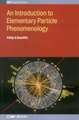 An Introduction to Elementary Particle Phenomenology