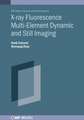 X-ray Fluorescence Multi-element Dynamic and Still Imaging