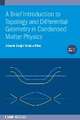 A Brief Introduction to Topology and Differential Geometry in Condensed Matter Physics (Second Edition)