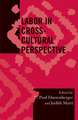 Labor in Cross-Cultural Perspective