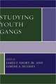 Studying Youth Gangs