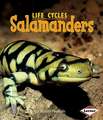 Salamanders