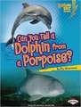 Can You Tell a Dolphin from a Porpoise?