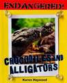 Crocodiles and Alligators