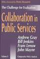 Collaboration in Public Services: The Challenge for Evaluation