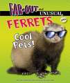 Ferrets: Cool Pets!