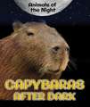 Capybaras After Dark