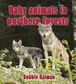 Baby Animals in Northern Forests