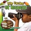 Life Cycles of Insects