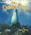 The Ocean Biome