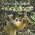 How and What Do Animals Learn?